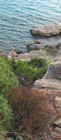 cliffdown (28K)